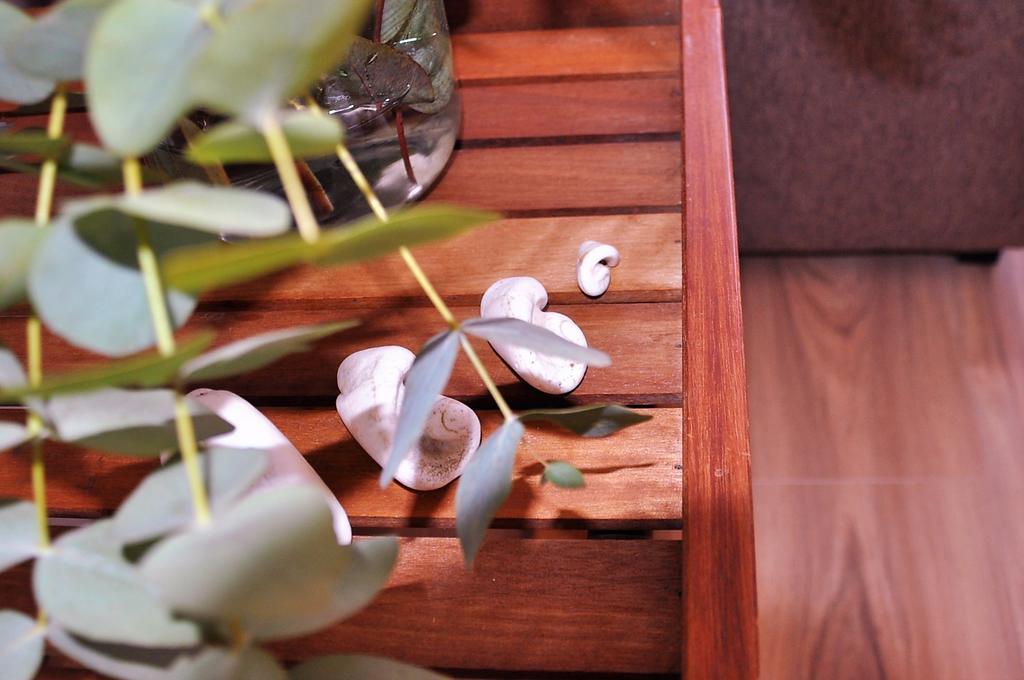 Apartamento En La Rambla Con Piscina Santa Cruz de Tenerife Eksteriør billede